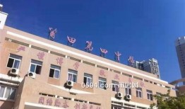 莆田四中最新爆料,揭秘校园风云背后的真相！”