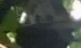 葡萄鸭的大哥爆料视频,独家爆料视频背后的故事